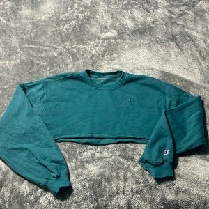 Champion crop sweater.